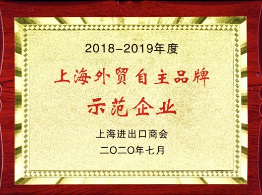 上Ｒ橛旁交717 荣誉奖牌